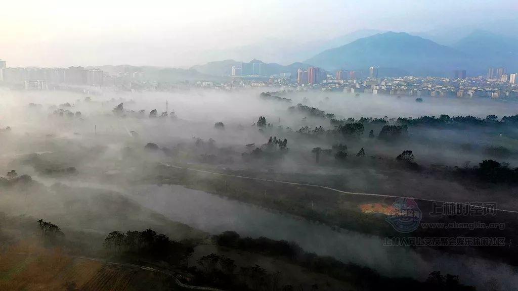 尤卡大莱莉冒险