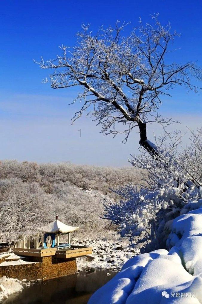 查尔斯心酸无奈:女王太宠爱夏洛特公主,不退位是为曾孙女