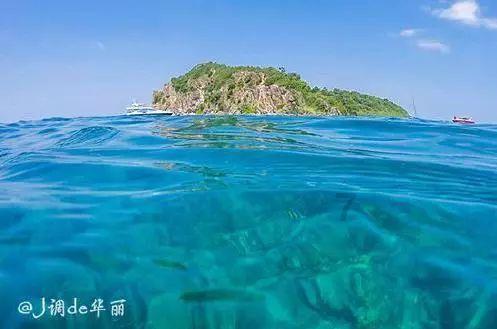 寻梦环游记找吉他