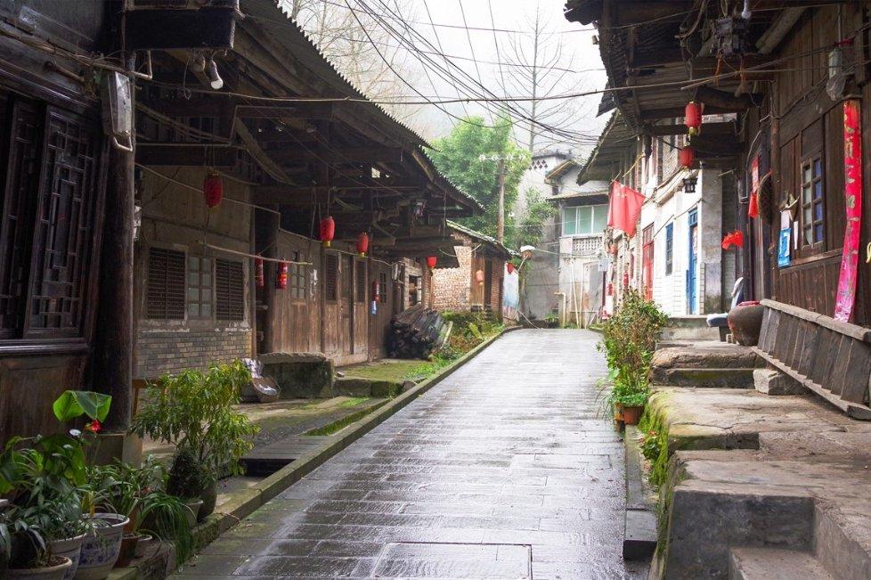 巧变同色